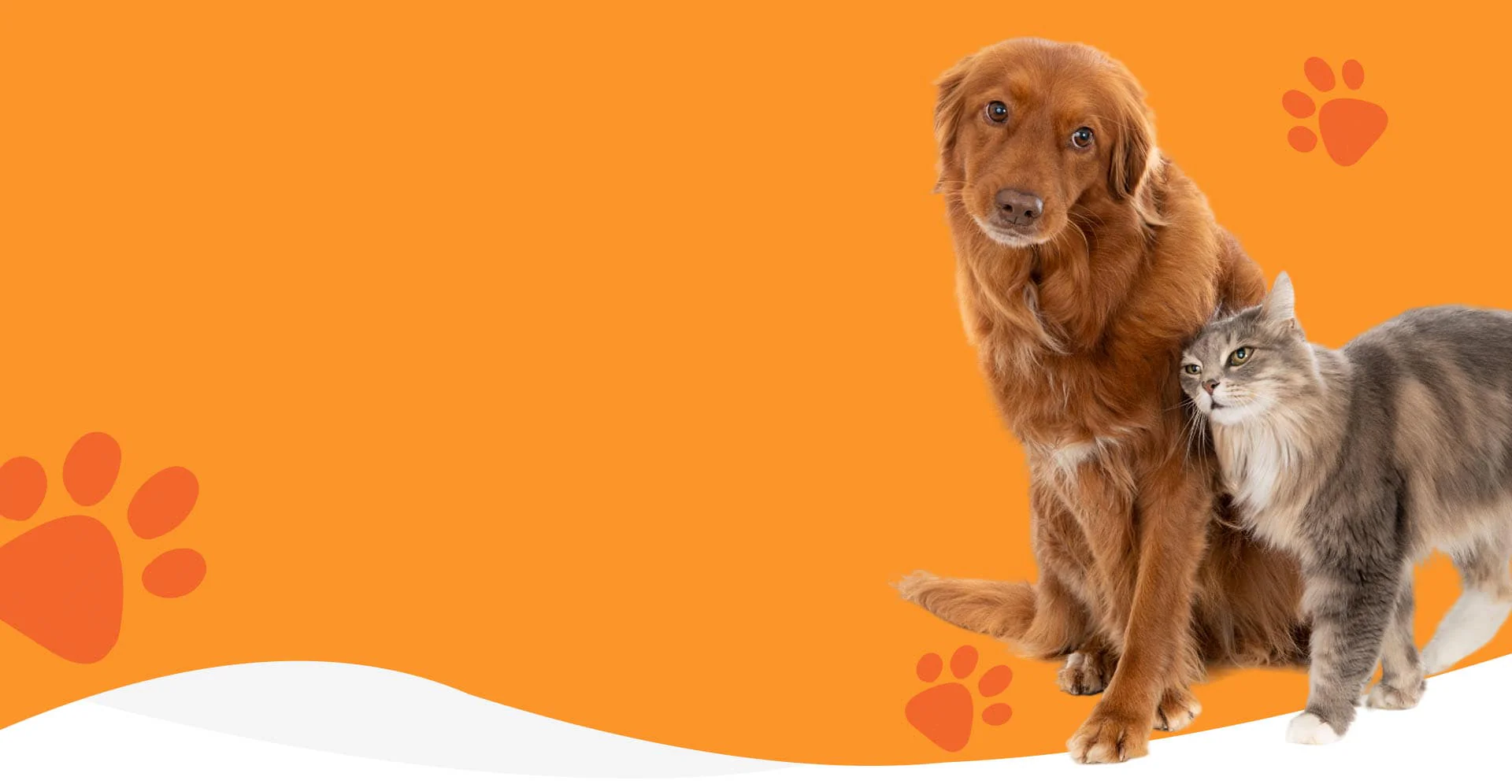 Wear Your Love for Pets