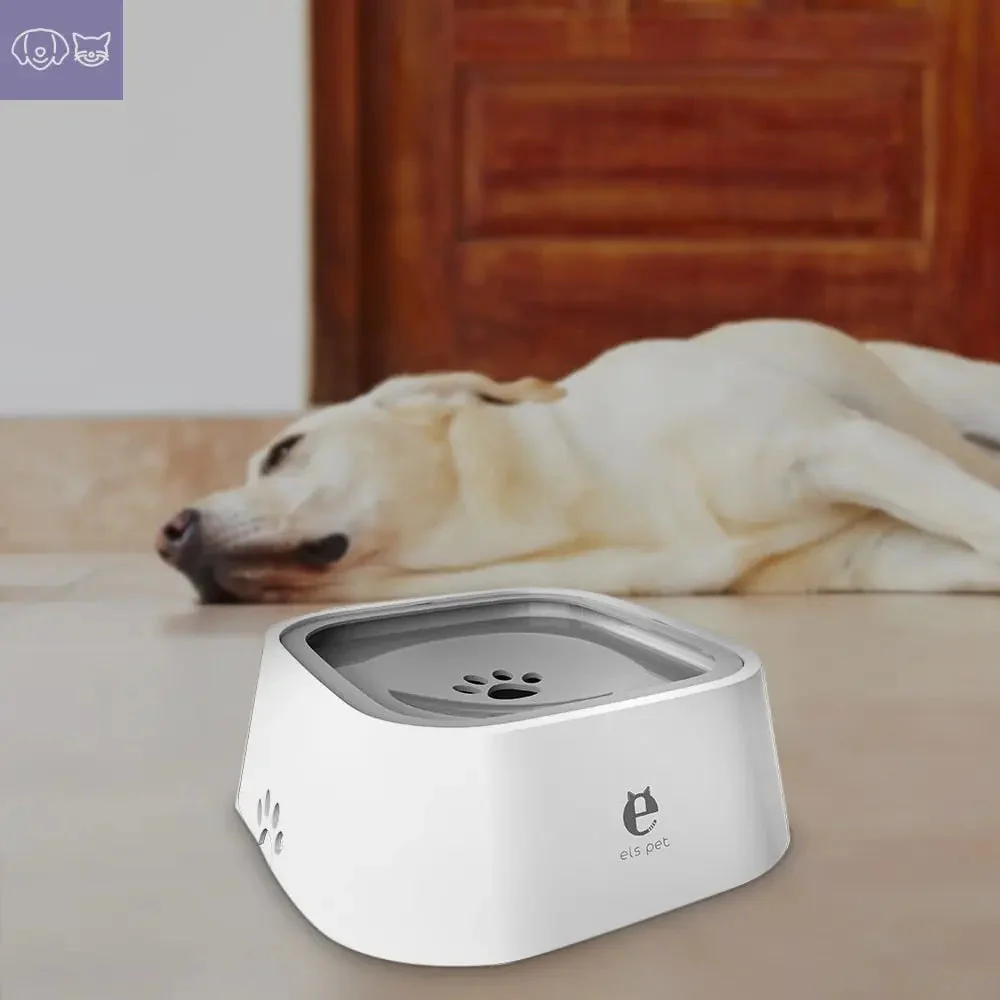SplashPup⢠- Image 4