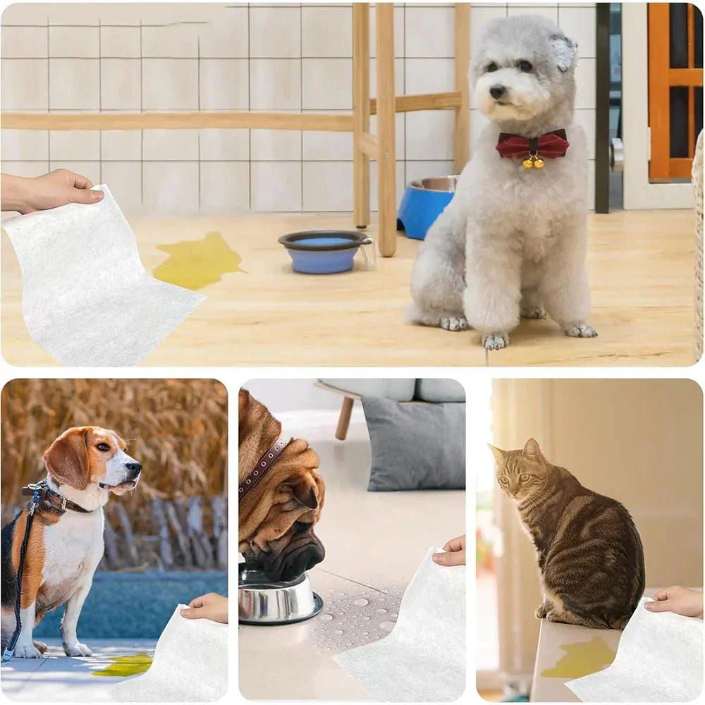 PeeGone Pad™  100PCS/Bag - Image 6