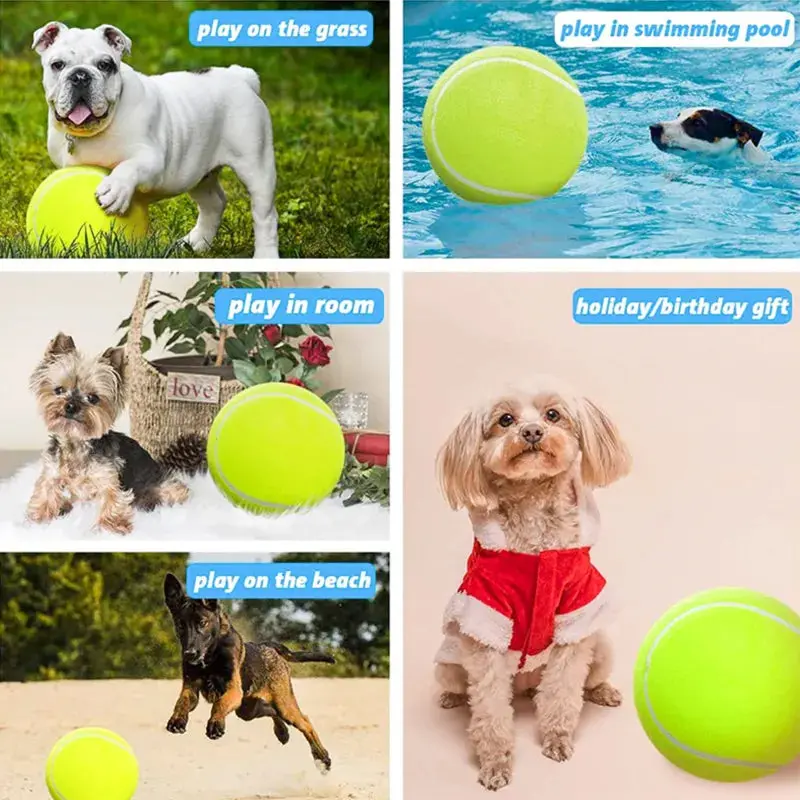 BarkBall™ - Image 4