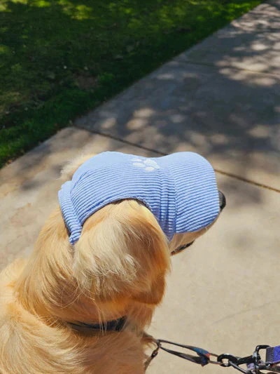 Fashionable Corduroy Dog Hat - Image 3