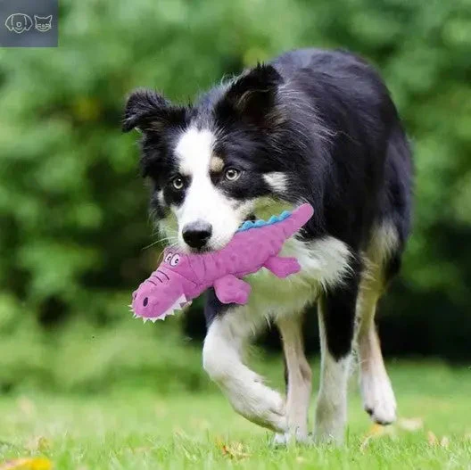 MegaBite™ For Aggressive Chewers - Image 11