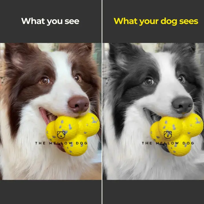 RelaxOrb™ Calming Dog Toy - Image 4