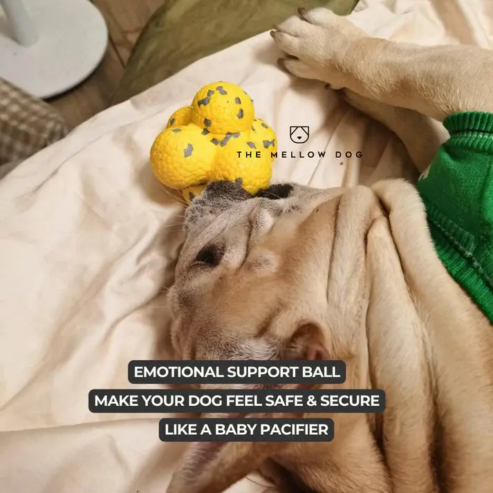RelaxOrb™ Calming Dog Toy - Image 6