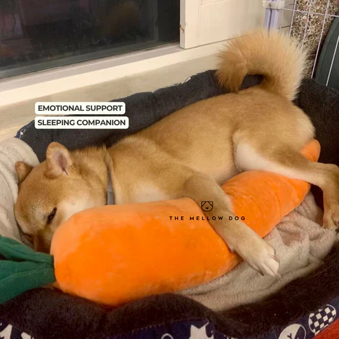 ZenChomp™ Calming Dog Toy - Image 4