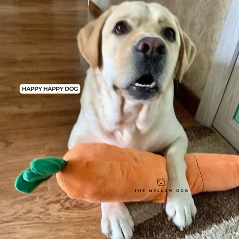 ZenChomp™ Calming Dog Toy - Image 5