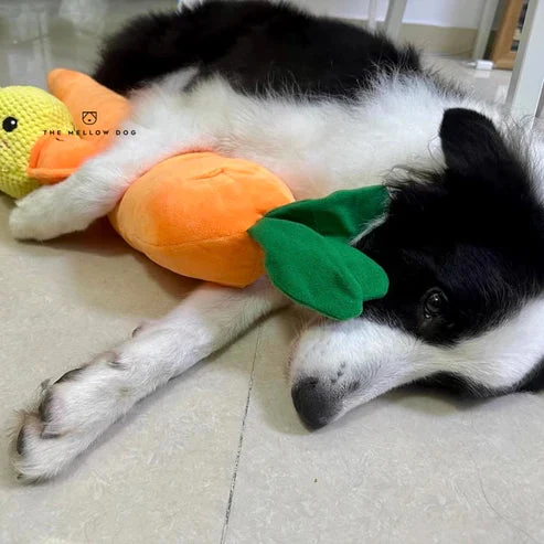 ZenChomp™ Calming Dog Toy - Image 6