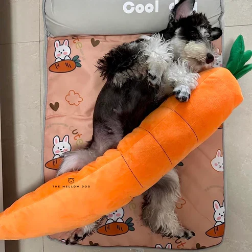 ZenChomp™ Calming Dog Toy - Image 7
