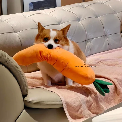 ZenChomp™ Calming Dog Toy - Image 8