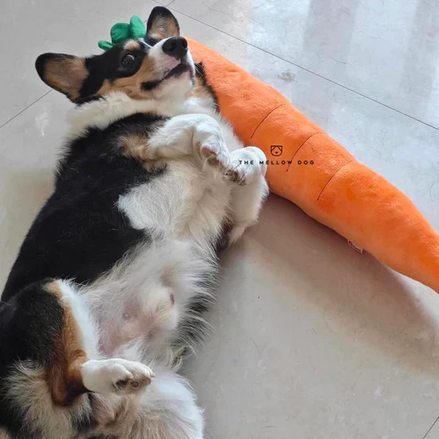 ZenChomp™ Calming Dog Toy - Image 9