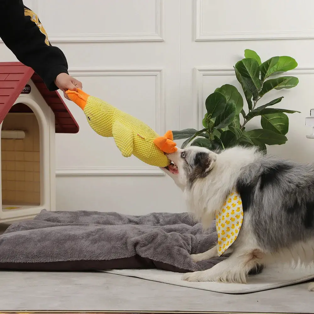 PawQuacker™ - Image 3