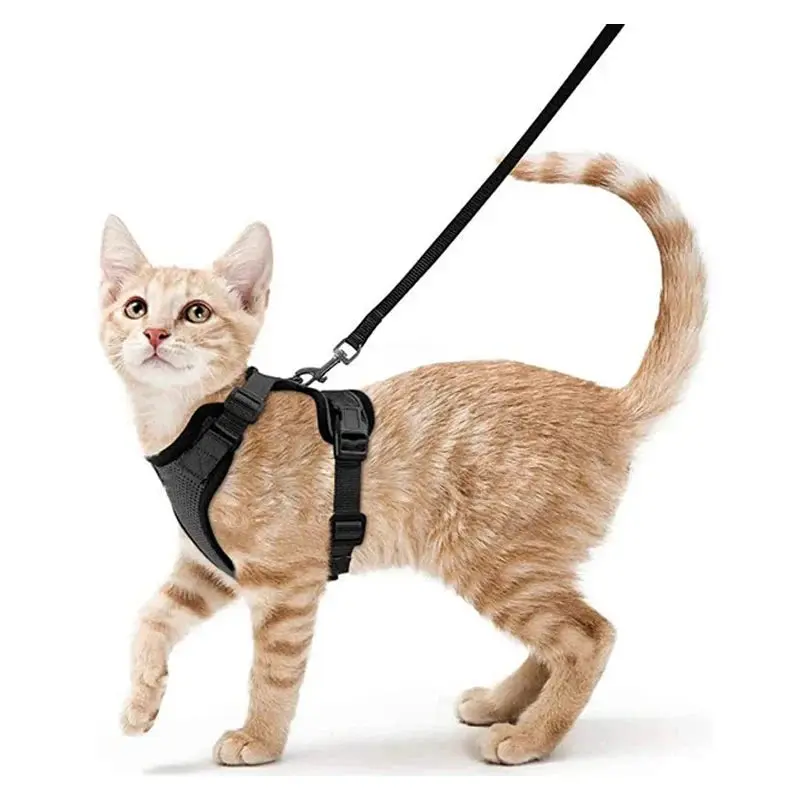 Cat Harness and Leash for Walking – Escape Proof, Soft & Adjustable Vest Harnesses - Image 10