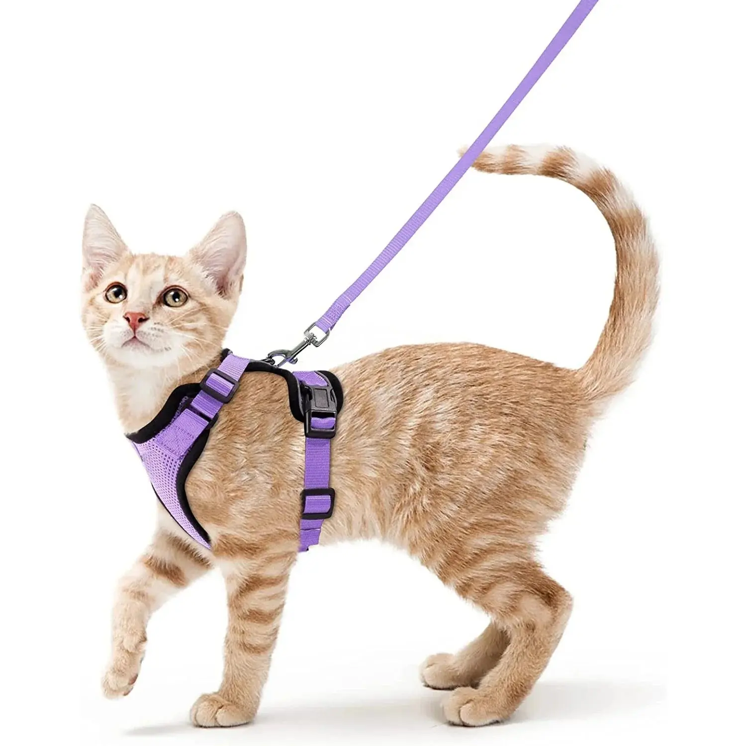 Cat Harness and Leash for Walking – Escape Proof, Soft & Adjustable Vest Harnesses - Image 11
