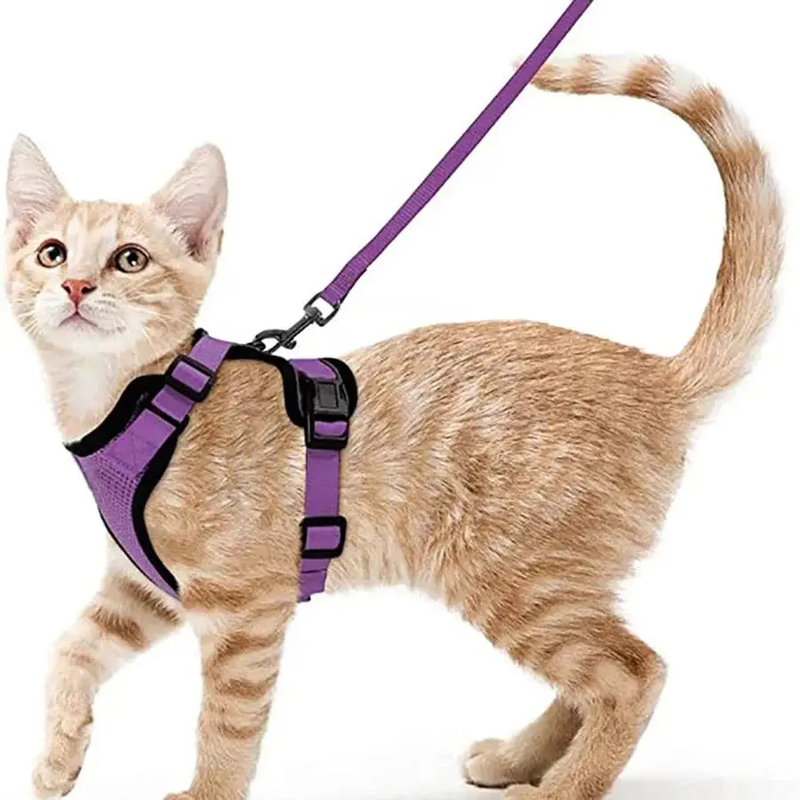 Cat Harness and Leash for Walking – Escape Proof, Soft & Adjustable Vest Harnesses - Image 12