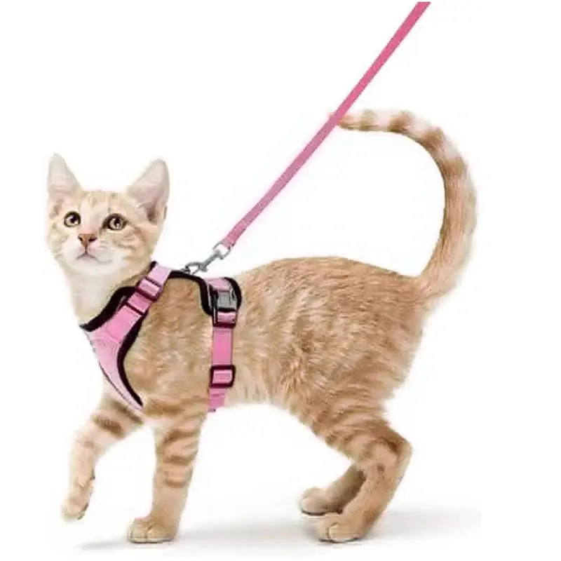 Cat Harness and Leash for Walking – Escape Proof, Soft & Adjustable Vest Harnesses - Image 13