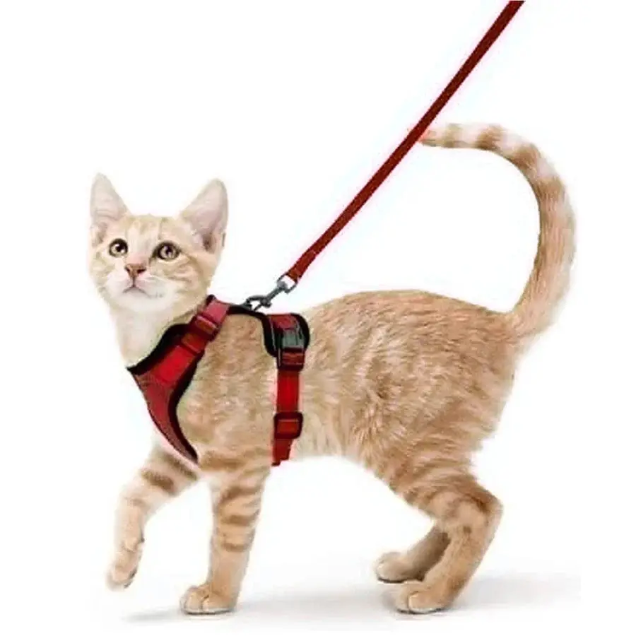 Cat Harness and Leash for Walking – Escape Proof, Soft & Adjustable Vest Harnesses - Image 15