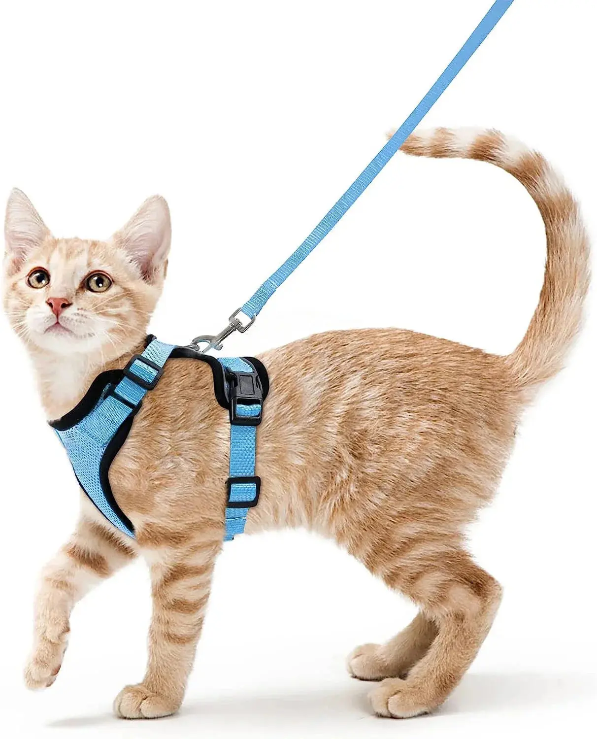 Cat Harness and Leash for Walking – Escape Proof, Soft & Adjustable Vest Harnesses - Image 16