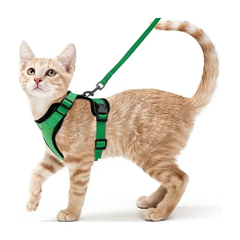 Cat Harness and Leash for Walking – Escape Proof, Soft & Adjustable Vest Harnesses - Image 17