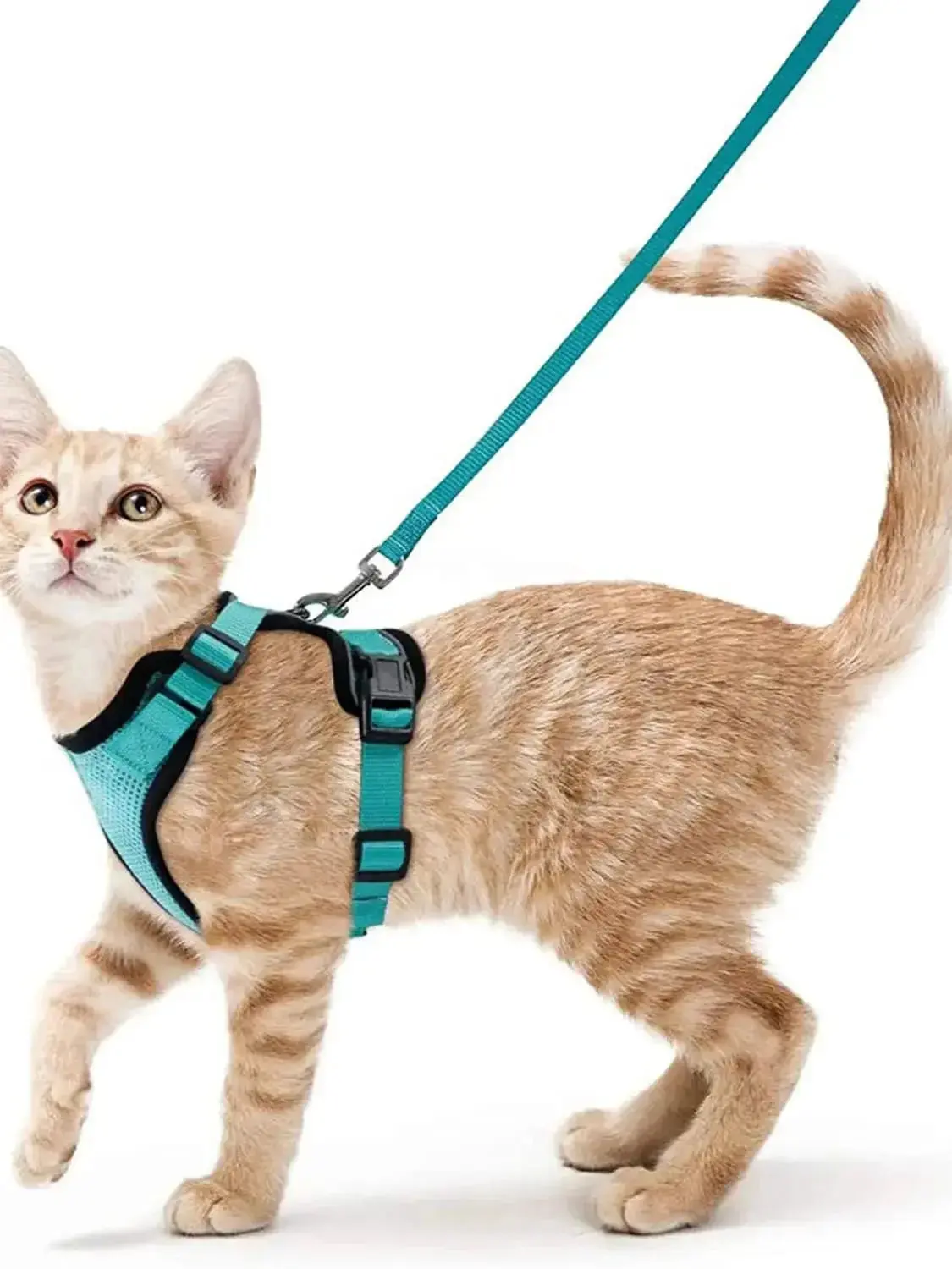 Cat Harness and Leash for Walking – Escape Proof, Soft & Adjustable Vest Harnesses - Image 7