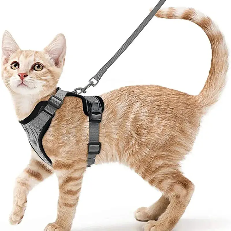 Cat Harness and Leash for Walking – Escape Proof, Soft & Adjustable Vest Harnesses - Image 9