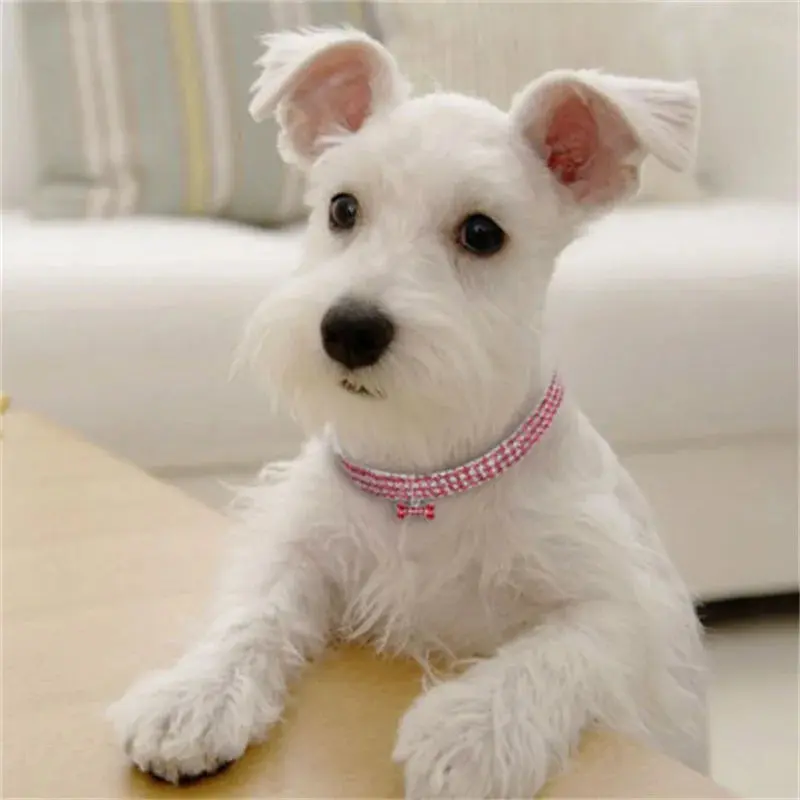Crystal  Dog Collar - Image 2