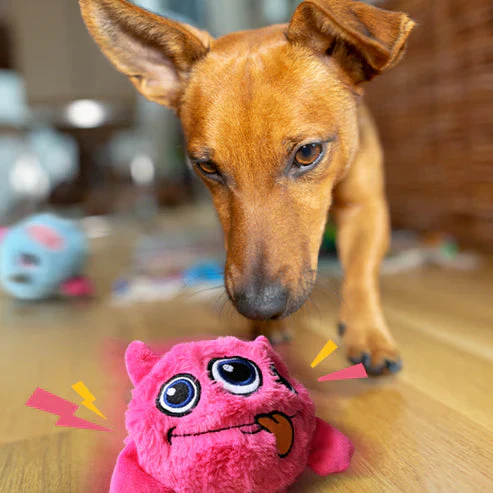 Chewie Viral Bouncing Monster - Image 3