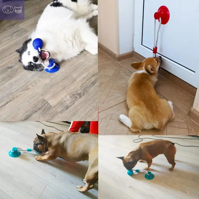 ChewzyPaw™ - Image 5