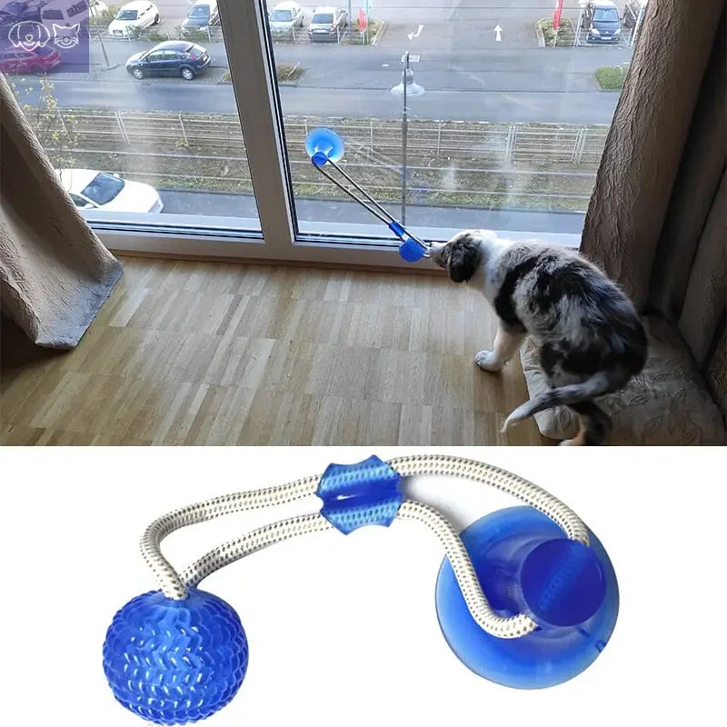 ChewzyPaw™ - Image 8
