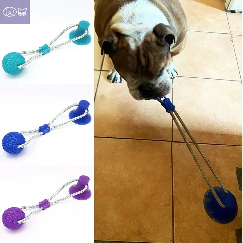 ChewzyPaw™ - Image 9