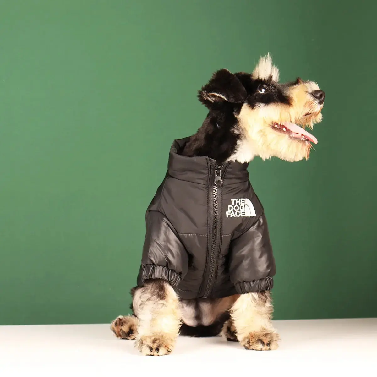 Dog Face Puffer Jacket - Image 2