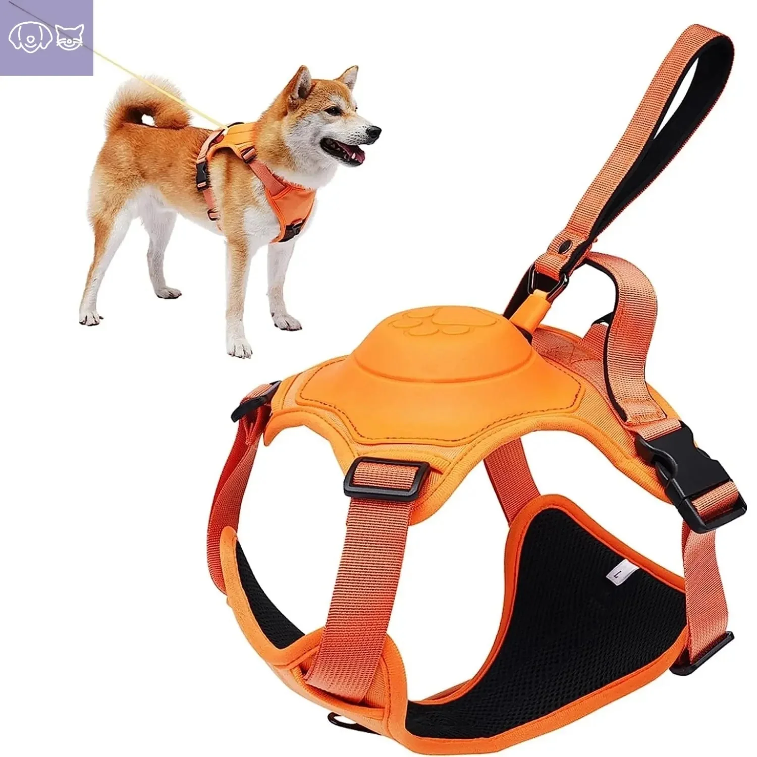 PawLink™ All-in-One