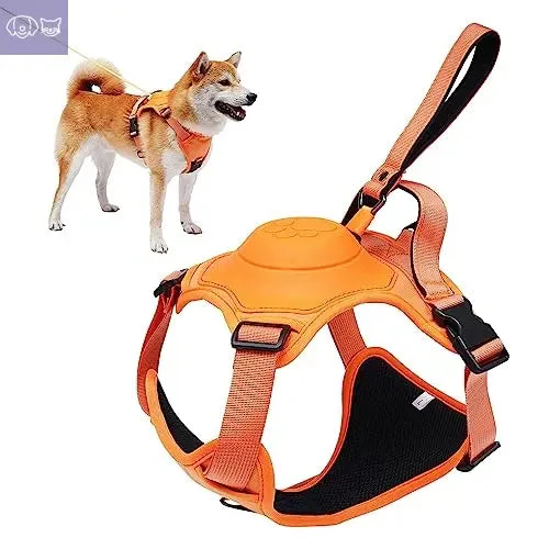 PawLink™ All-in-One - Image 3