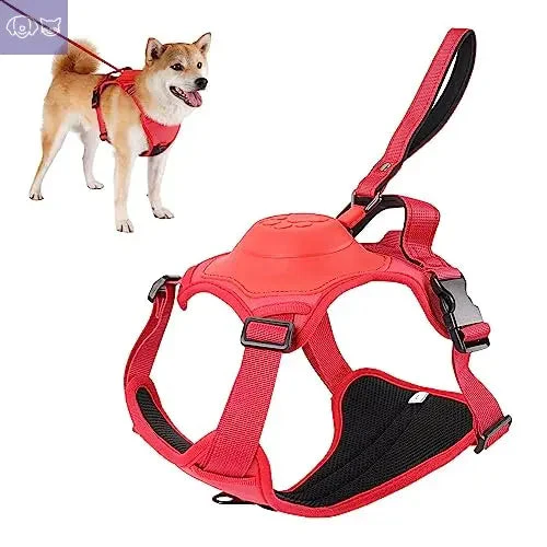 PawLink™ All-in-One - Image 6