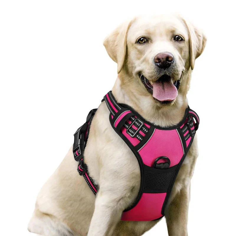 PawVenture™ Control Vest - Image 13