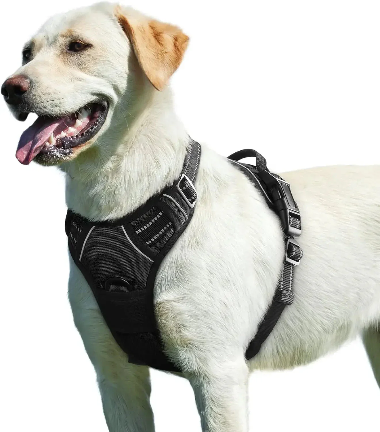 PawVenture™ Control Vest - Image 8