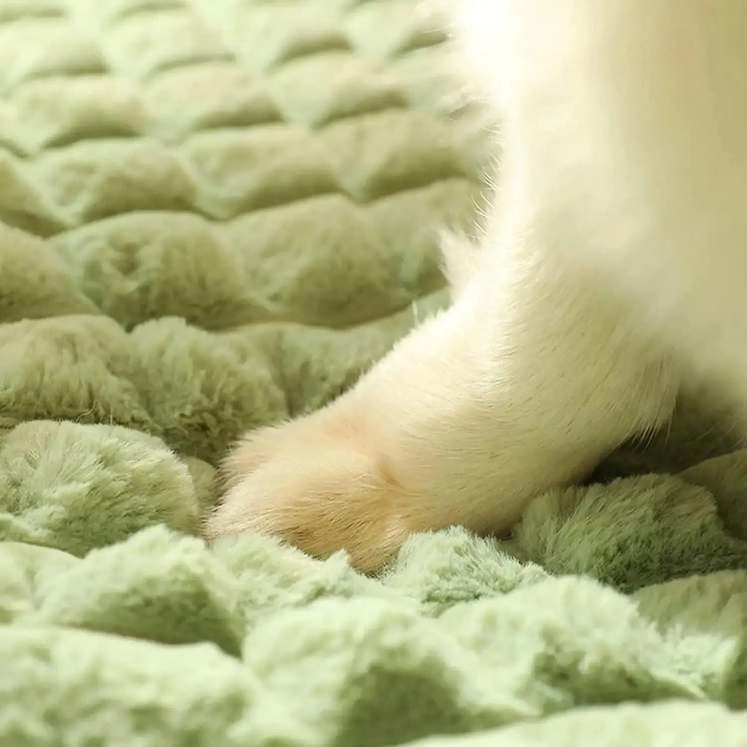 Dog Kennel Removable and Washable Pet Mat Bed for Comfort - Image 4