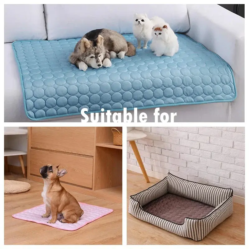 PupChill™ - Image 3