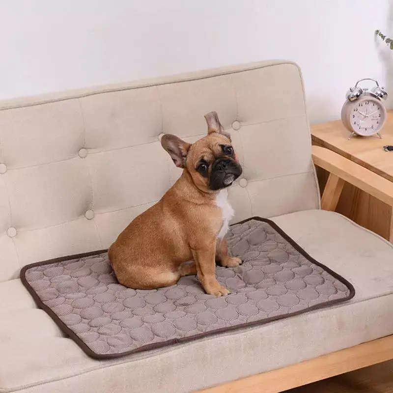 PupChill™ - Image 4