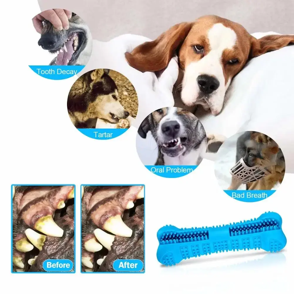 Dog Bone Toothbrush Cleaning - Image 4