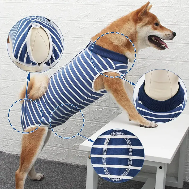 Dog Recovery Suit for Abdominal Wounds – Anti-Licking Onesie - Image 3