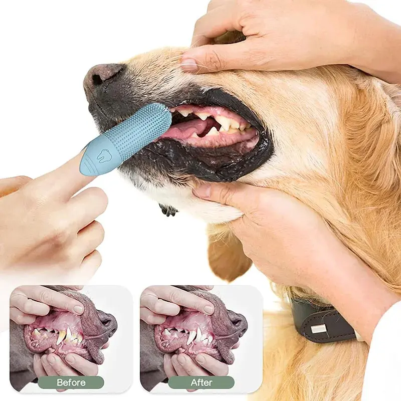 360° Dog Finger Toothbrush – Food Grade Silicone for Pets’ Dental Care - Image 4