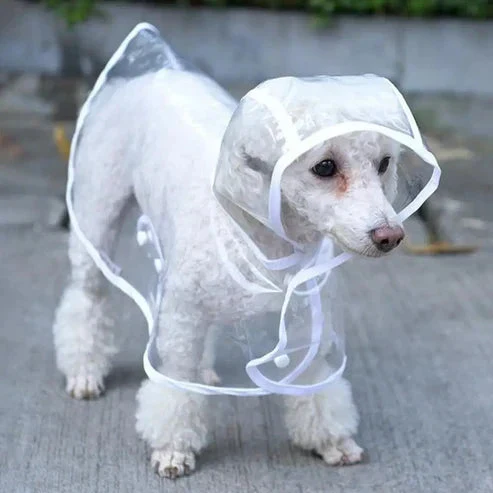 RainyWoof™ - Image 13
