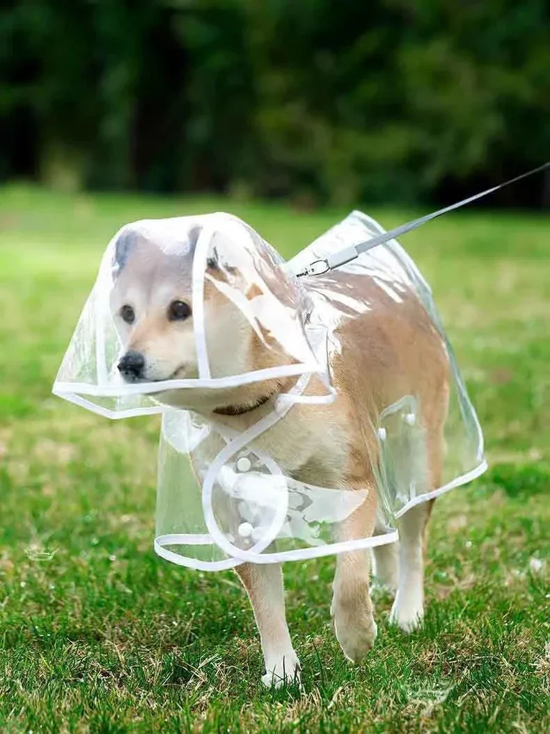 RainyWoof™ - Image 4