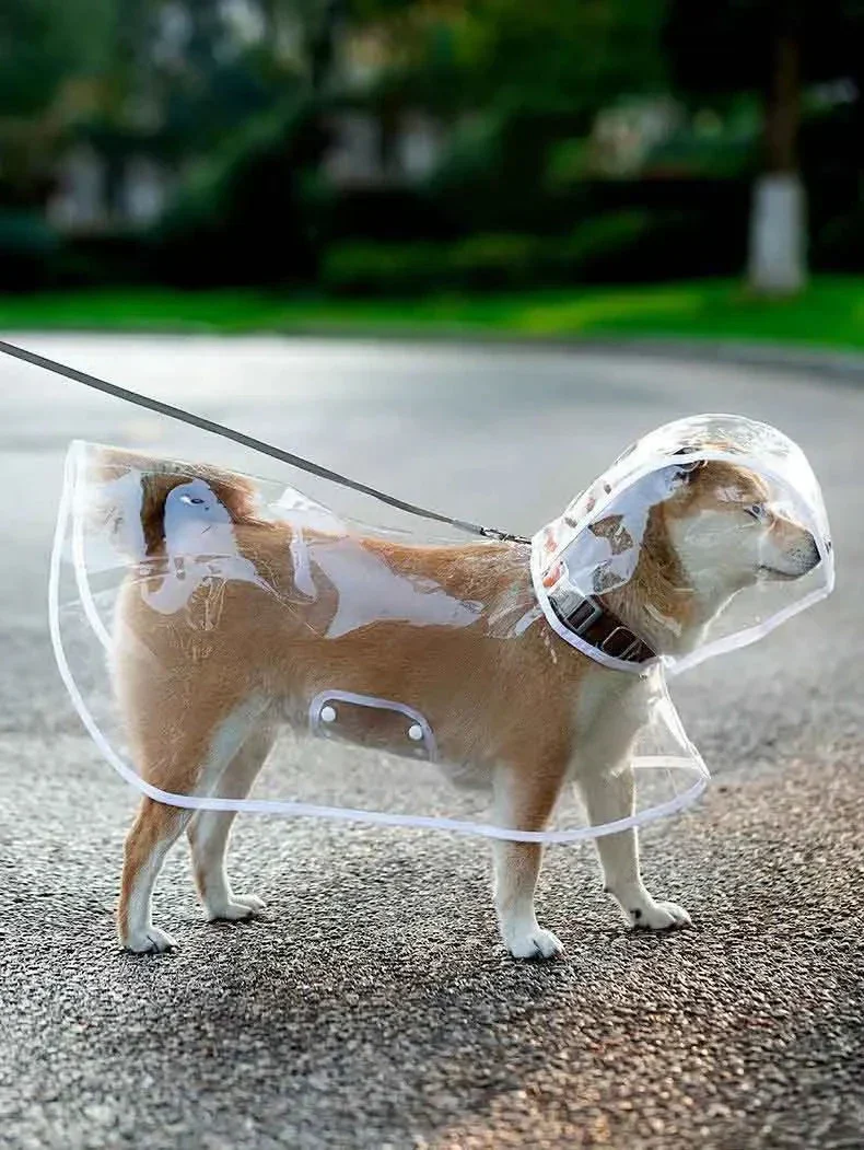 RainyWoof™ - Image 5