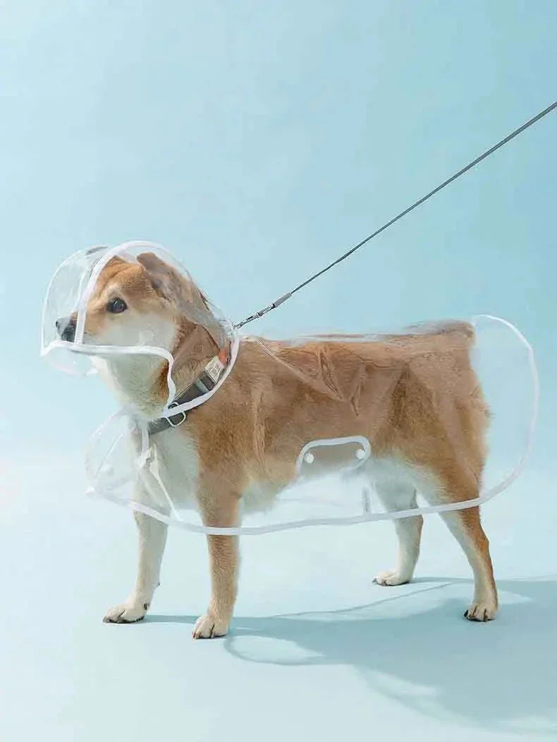 RainyWoof™ - Image 8
