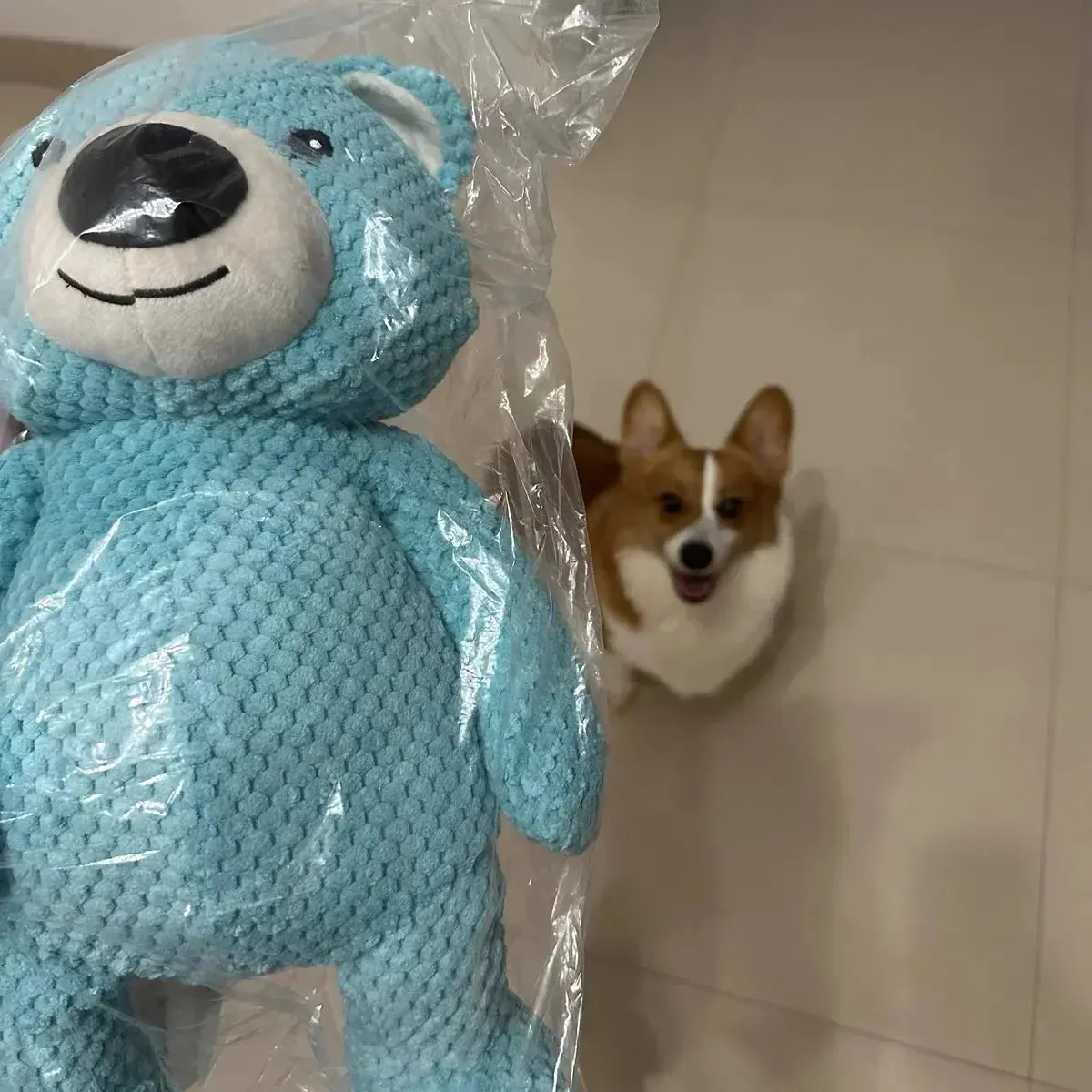 TeddyTough™ Premium Plush Toy - Image 4