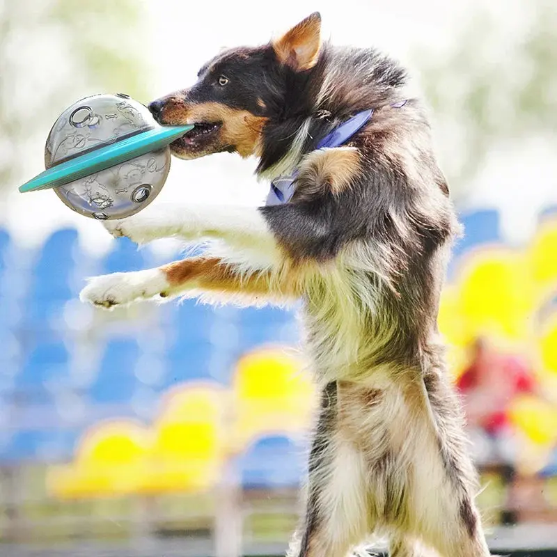 Flying Saucer Dog Slow Food Feeder - Image 5