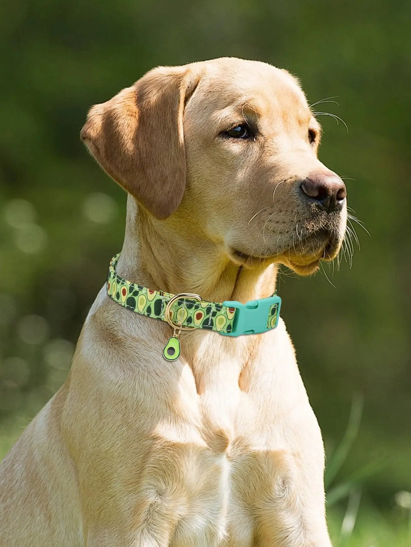 Fruit Pattern Dog Collar with Metal Pendant – Stylish & Comfortable - Image 4