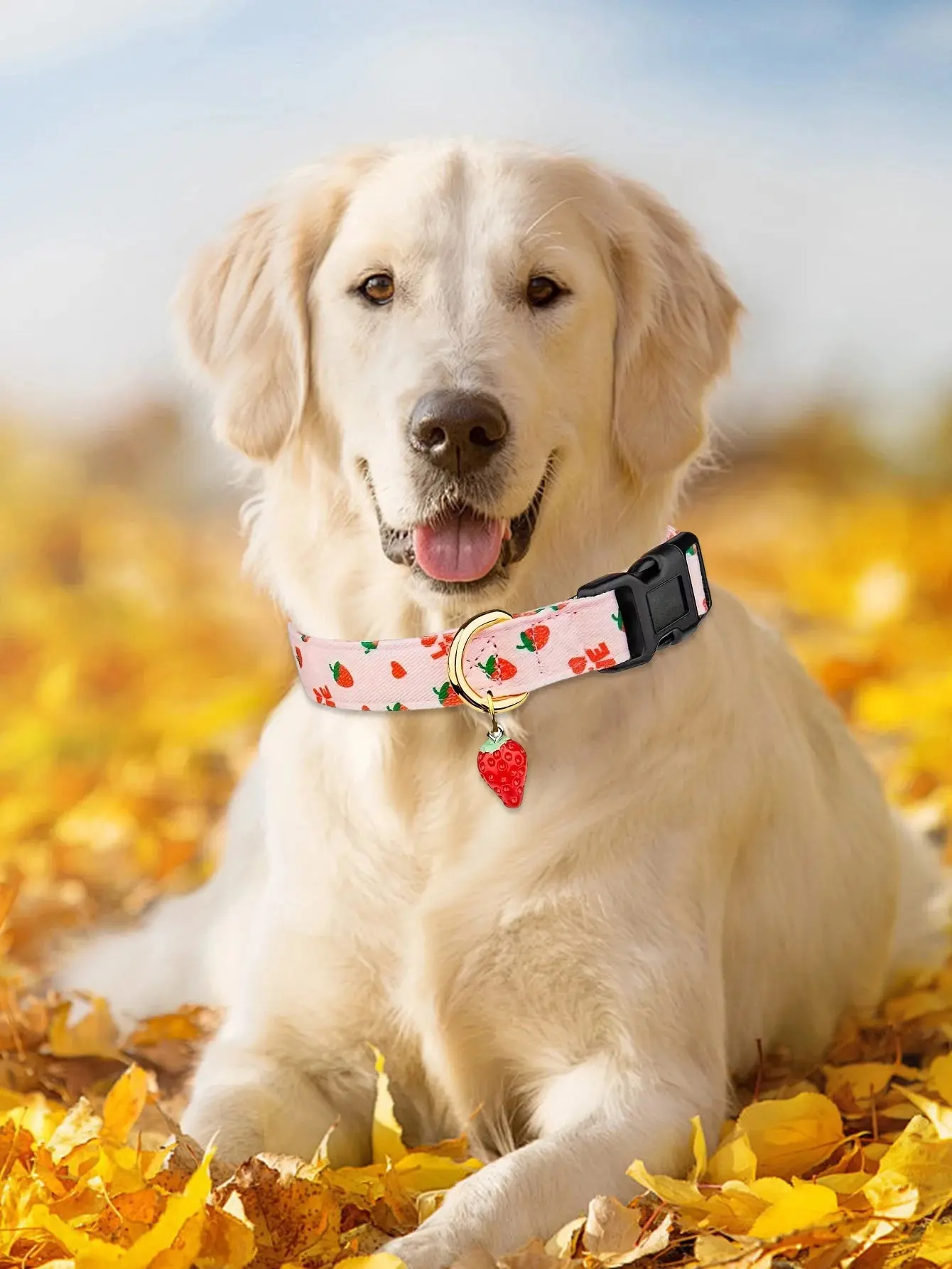 Fruit Pattern Dog Collar with Metal Pendant – Stylish & Comfortable - Image 5
