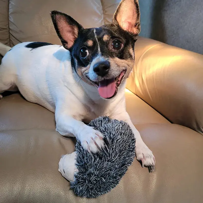 QuillQuest™ Immortal Squeaker Plush Toy For Aggressive Chewers - Image 2